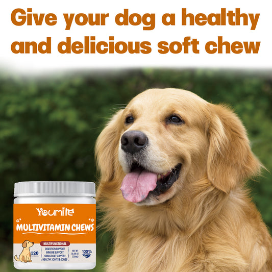Complete Multivitamin Health Supplement for Pets - Essential Daily Vitamins - 300g